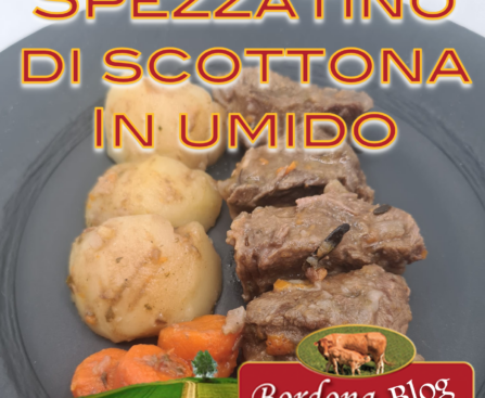 Spezzatino di Scottona Bio in umido con patate