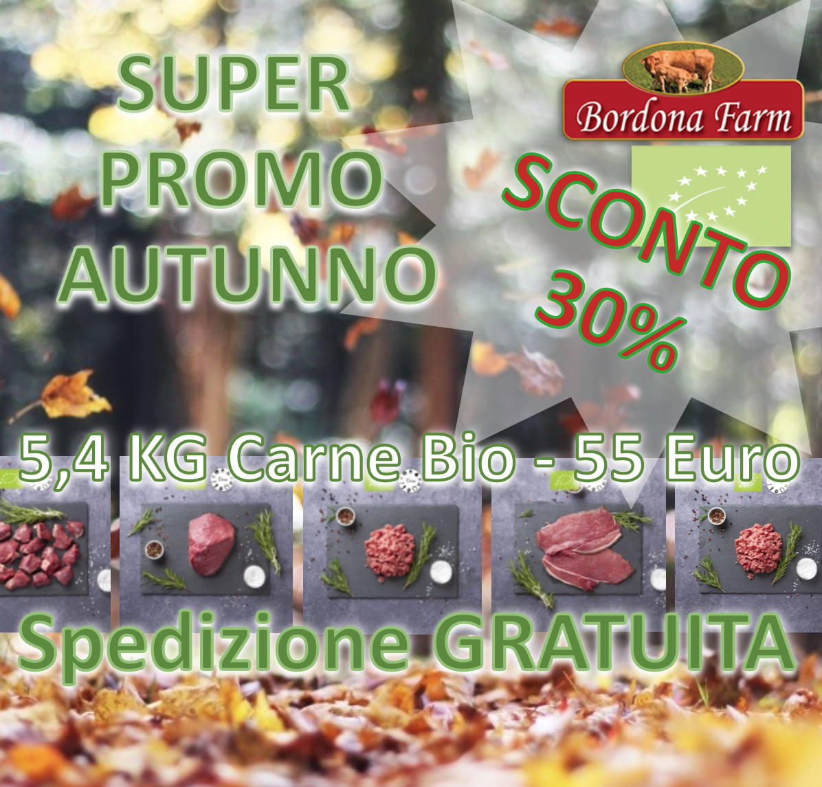 promo autunno 23