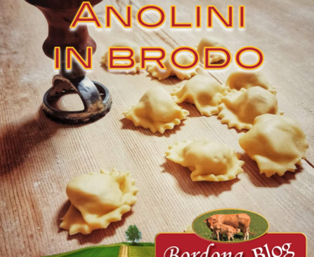 Gli Anolini in Brodo: Gusto e Tradizione della Cucina Piacentina